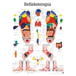 Refleksterapia PHYS 7