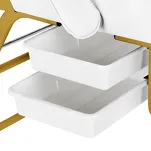 Fotel kosmetyczny 557G z kuwetami złoto biały - 9